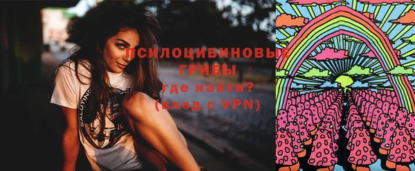 a pvp Алзамай