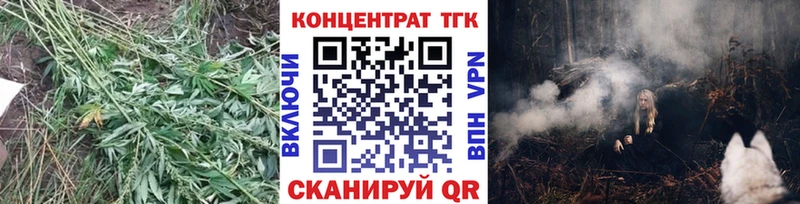ТГК гашишное масло  где купить наркоту  Ачхой-Мартан 